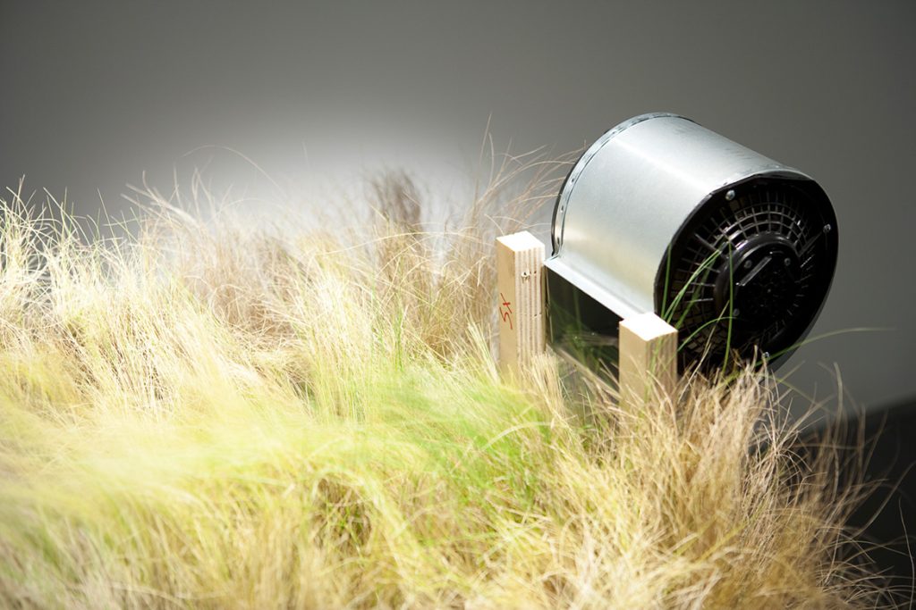 Andrea Nacciarriti
Landscape, 2010-2022
Ventilatore, erba, terra, legno. Installazione
Courtesy l’artista